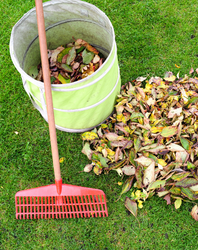 VA-Kalender_Bild (23).png